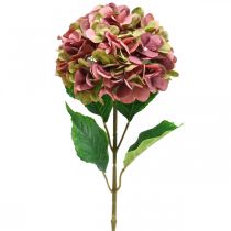 Hortenzija dirbtinė rožinė, bordo dirbtinė gėlė didelė 80cm