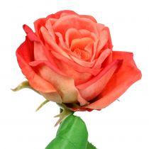 Rožė dirbtinė gėlė lašiša 67,5cm