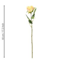 daiktų Rožių puokštė elegantiškam svetainės dekoravimui 44 cm 6 vnt.