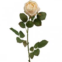 Rožių kreminė šilkinė gėlė Dirbtinė rožė L74cm Ø7cm