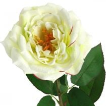 Dirbtinė rožė, dekoratyvinė rožė, šilkine gėlė kreminė balta, žalia L72cm Ø12cm