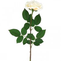 daiktų Kreminė balta abrikosinė rožė, šilkinė gėlė, dirbtinės rožės L72cm Ø12cm