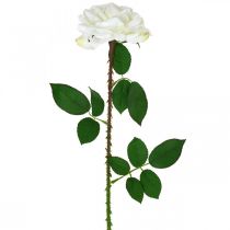 daiktų Balta rožė netikra rožė ant stiebo Šilkinė gėlė netikra rožė L72cm Ø13cm