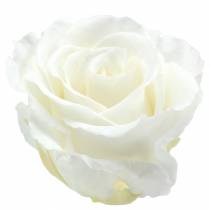 Infinity rožės didelės Ø5,5-6cm baltos 6vnt