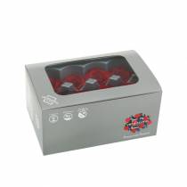 daiktų Konservuotos rožės vidutinės Ø4-4,5cm raudonos 8 vnt