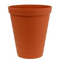 daiktų Rožių vazonas plastikinis 19cm terakotos 1 vnt