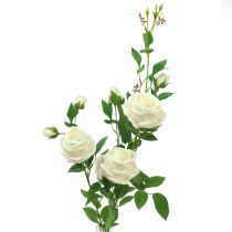 daiktų Rožių šakelių kremas / rožė 100cm