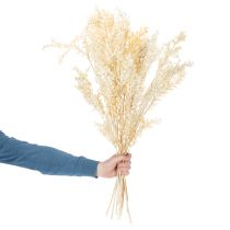 daiktų Džiovinta dekoratyvinė ruskuso šakelė, balintas ruskusas, 200g