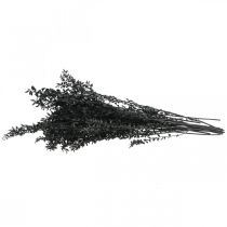 daiktų Ruskuso šakos, dekoratyvinės šakos, džiovintos gėlės, juodos, 200 g