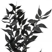 Ruscus šakelės dekoratyvinės šakos džiovintos gėlės juodos 200g