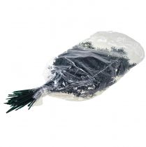 daiktų Ruscus žalios dekoratyvinės šakos tamsiai žalios 75-95cm 1kg