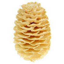 daiktų Sabulosum spurgai balinti 500g