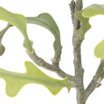 daiktų Dirbtinis pjūklo lapas kaktusas Epiphyllum anguliger L68cm 3 vnt.