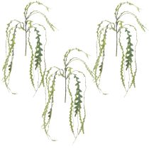 daiktų Dirbtinis pjūklo lapas kaktusas Epiphyllum anguliger L68cm 3 vnt.
