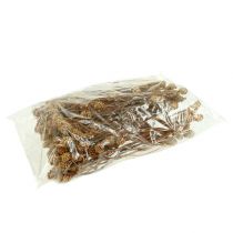 daiktų Salignum light 4-6 žiedai ant Leucadendron šakos 100 vnt