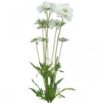 daiktų Niežais dirbtinė gėlė balta sodo gėlė H64cm kekė su 3 vnt