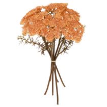 daiktų Dirbtinės kraujažolės gėlės Achillea dirbtinė oranžinė 30 cm 6 vnt.