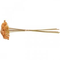 daiktų Dirbtinės kraujažolės gėlės oranžinės 50cm 5vnt