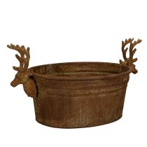daiktų Dekoratyvinis dubuo, elnio galva, ovalus, rūdžių spalvos, kaimiškas, 41 cm