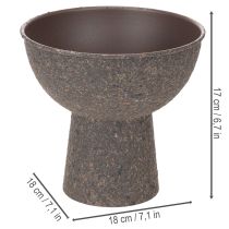 daiktų Apvalus augalų dubuo su pagrindu, 18 cm