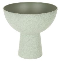 daiktų Dekoratyvinis dubuo su stovu augalams, 25 cm
