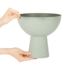 daiktų Dekoratyvinis dubuo su stovu augalams, 25 cm