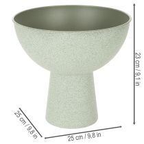 daiktų Dekoratyvinis dubuo su stovu augalams, 25 cm