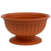 daiktų Dubuo su pagrindu terakotos spalvos Ø35cm