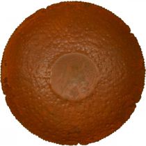 daiktų Dekoratyvinis metalinis dubuo, dekoratyvinis dubuo su kaimiška išvaizda, Ø30cm A8.5cm