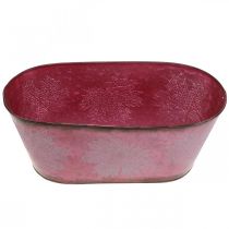 daiktų Dubuo su lapų dekoracija, sodinukas, rudens puošmena, metalinis puodo vynas raudonas L38cm A15cm