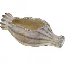 Aguonų kapsulė sodinimui, betono apdaila, augalų vazonas, sodo puošmena L29,5cm
