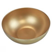 daiktų Dekoratyvinis dubuo auksinis dubuo plastikinis matinis blizgesys Ø20cm H7cm