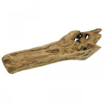 Dekoratyvinis dubuo Paulownia medis, gėlių padėklas, medinis indas L58cm H7-8cm