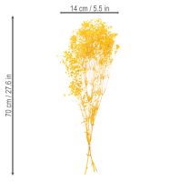 daiktų Džiovintų gėlių puokštė su žydinčia uoga. Dekoratyviai žydinčios šakelės, tinkančios sezoninėms stalo dekoracijoms. 70 cm.