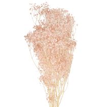 daiktų Gypsophila Decoration Oranžinės džiovintos žolės persikas 65-70cm 100g