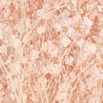daiktų Gypsophila Decoration Oranžinės džiovintos žolės persikas 65-70cm 100g