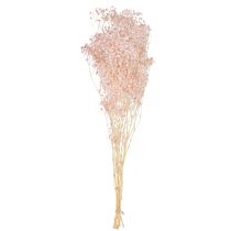 daiktų Gypsophila Decoration Oranžinės džiovintos žolės persikas 65-70cm 100g
