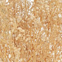 daiktų Gypsophila Pansy Gipso Herb Baltos gėlės 50cm 55g
