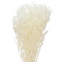 daiktų Gypsophila baltos džiovintos žolės dekoravimo kremas 65-70cm 100g