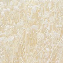 daiktų Gypsophila baltos džiovintos žolės dekoravimo kremas 65-70cm 100g