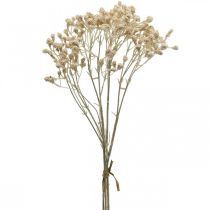 daiktų Dirbtinio gypsophila kremas gypsophila 46cm krūva iš 3 vnt