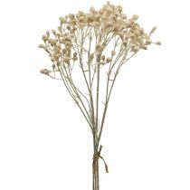 daiktų Dirbtinis Gypsophila kremas Gypsophila 46cm krūva iš 3 vnt