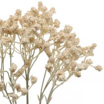 daiktų Dirbtinis Gypsophila kremas Gypsophila 46cm krūva iš 3 vnt