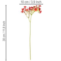 daiktų Dirbtinis kūdikio kvėpavimas, raudonas, puokštė kaip gėlių dekoracija, 30 cm, 10 vnt.