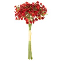 daiktų Dirbtinis kūdikio kvėpavimas, raudonas, puokštė kaip gėlių dekoracija, 30 cm, 10 vnt.