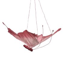 daiktų Didelė Pakabinama Drugelio Dekoracija, Elegantiška Sienų Dekoracija, 50cm, 2 Dalys