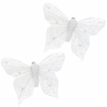 Plunksninis drugelis ant segtuko baltas 10 cm 12 vnt
