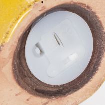 daiktų Keraminė dekoratyvinė sraigė su LED apšvietimu. Žaisminga stalo dekoracija namams ir balkonui. 12 cm, 2 vnt.