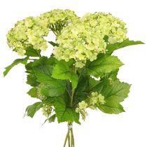 daiktų Sniego gniūžtės dirbtinės gėlės Viburnum dirbtinė žalia 61cm 4 vnt