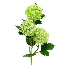 daiktų Sniego gniūžtė dirbtinė žalia 65cm 2vnt